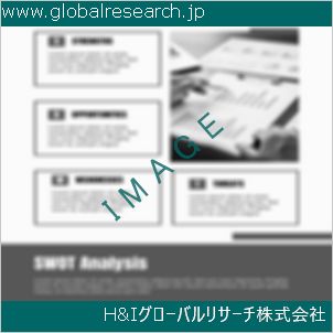 グローバルリサーチ調査資料のイメージ